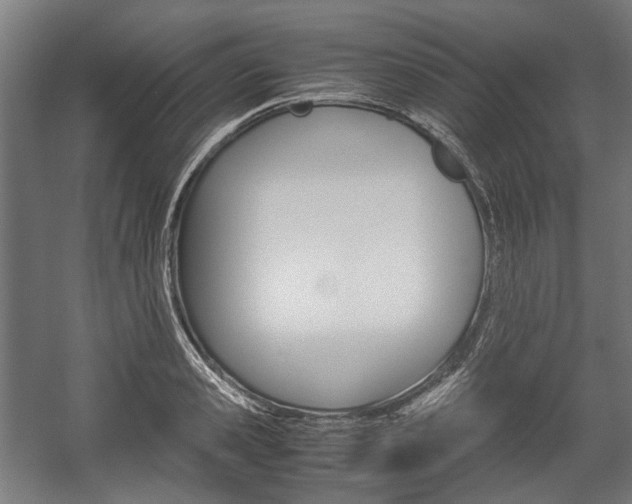 X0000058100941200509230750