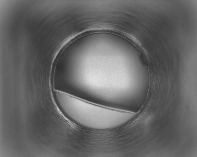 X0000058100943200509230750