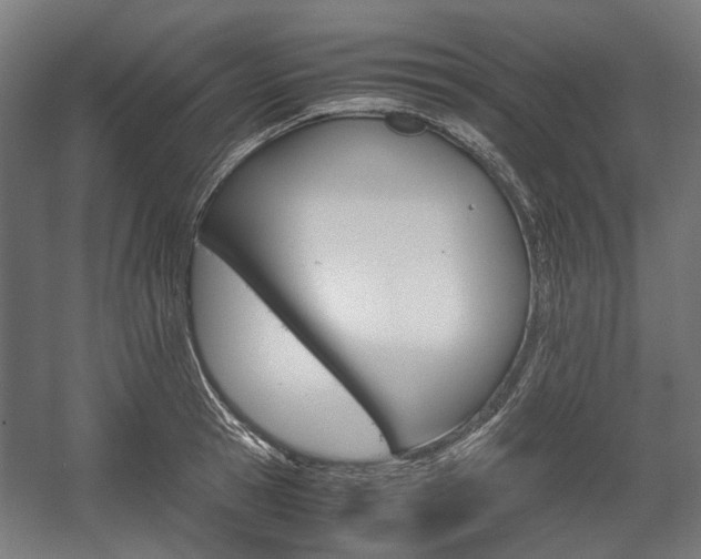 X0000058100945200509230750