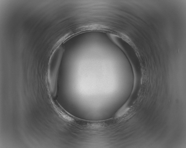 X0000058100946200509230750