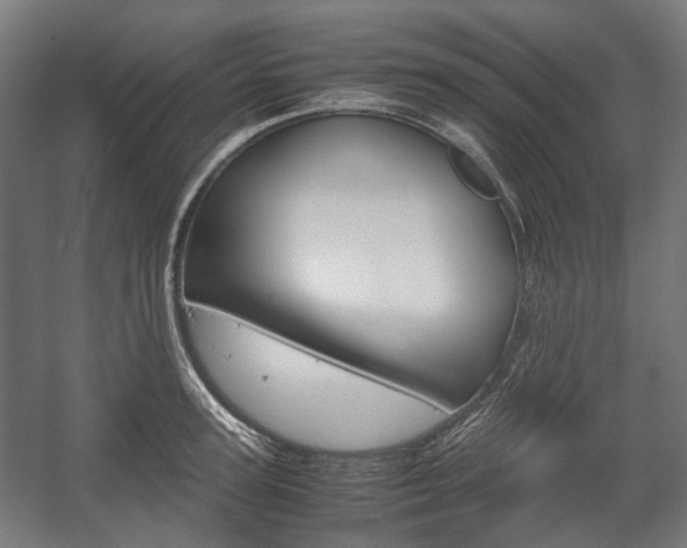X0000058100947200509230750