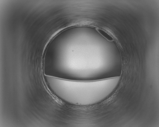 X0000058100948200509230750