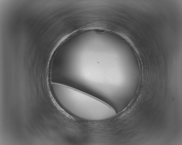 X0000058100949200509230750