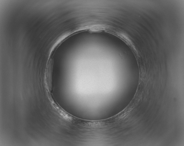 X0000058100952200509230750