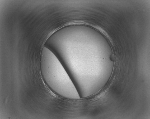 X0000058100953200509230750