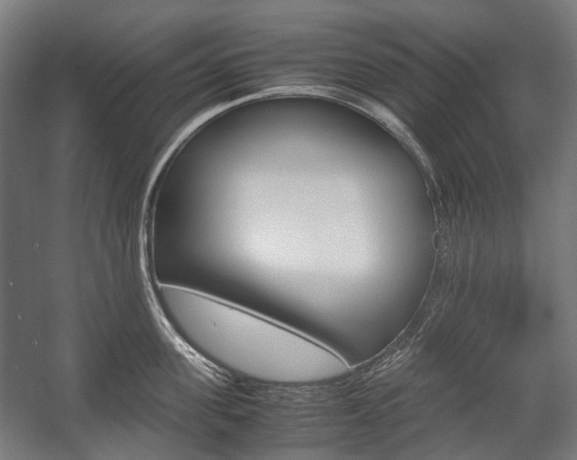 X0000058100955200509230750
