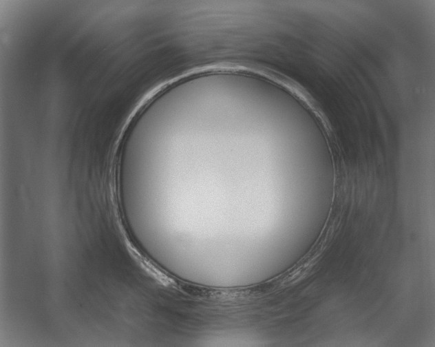 X0000058100958200509230751