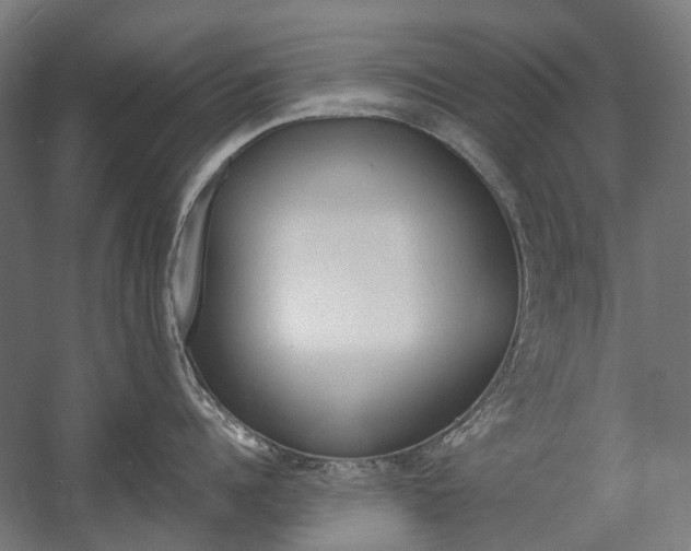 X0000058100960200509230751