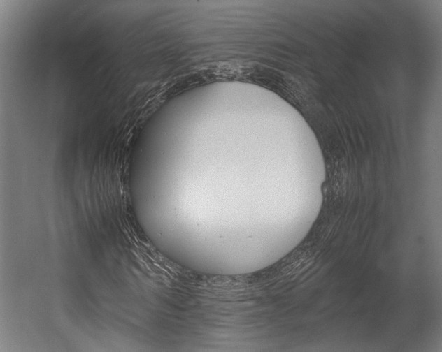 X0000058100962200509230750