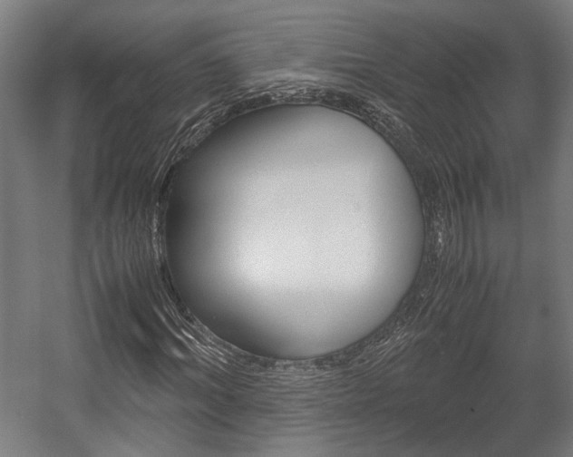 X0000058100964200509230750