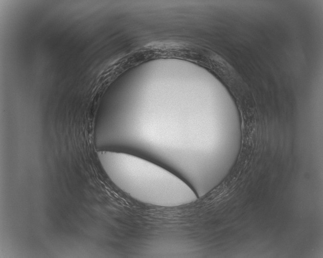 X0000058100966200509230750