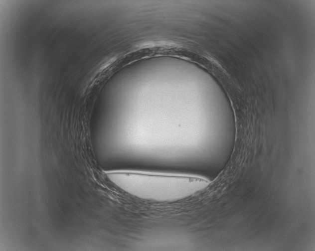 X0000058100967200509230750