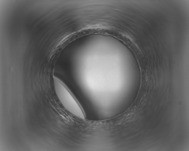 X0000058100968200509230750