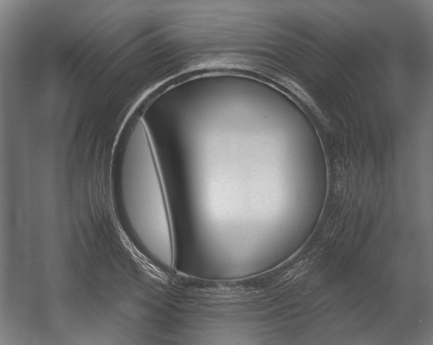 X0000058100980200509230749