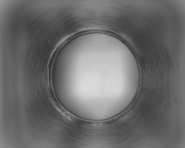 X0000058100982200509230749