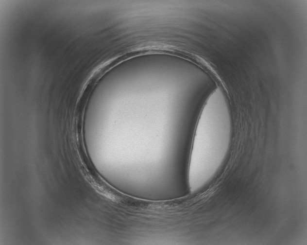 X0000058100987200509230749