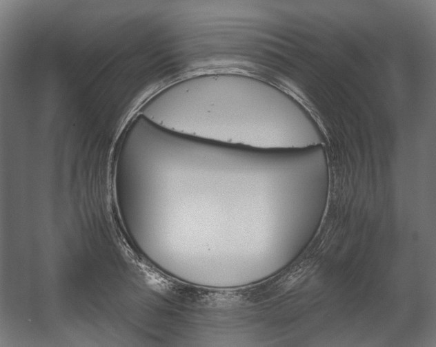 X0000058100994200509230749