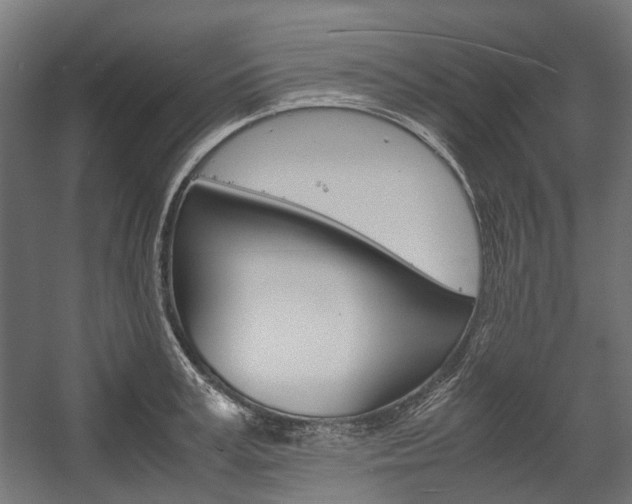 X0000058100995200509230749