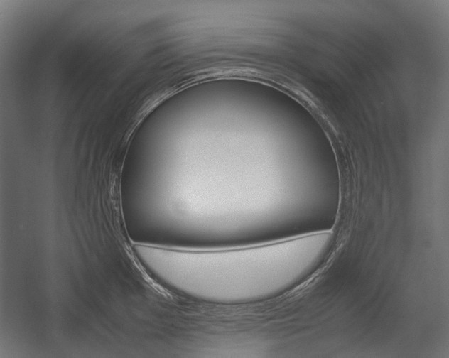 X0000058101001200509230749