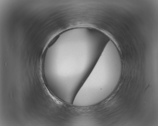 X0000058101006200509230749