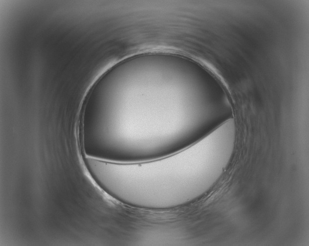 X0000058101007200509230749