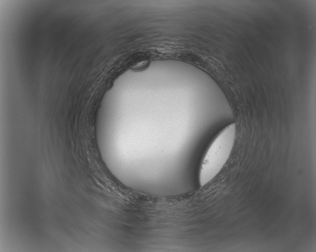 X0000058101009200509230748