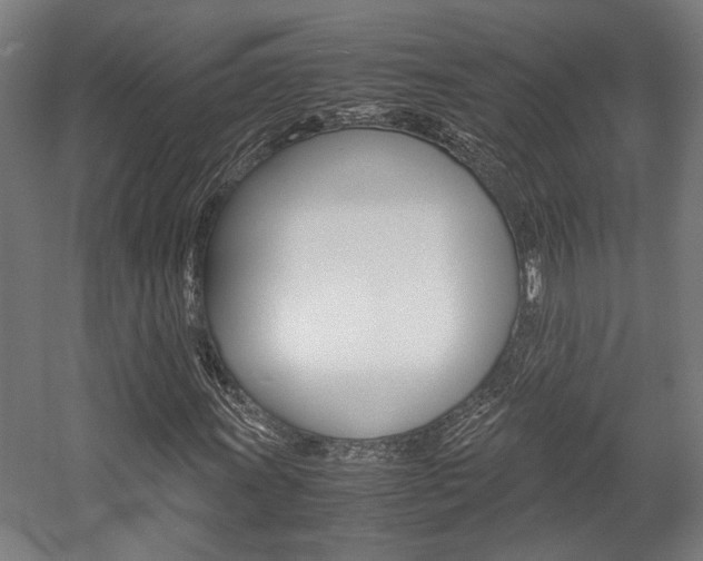 X0000058101011200509230748