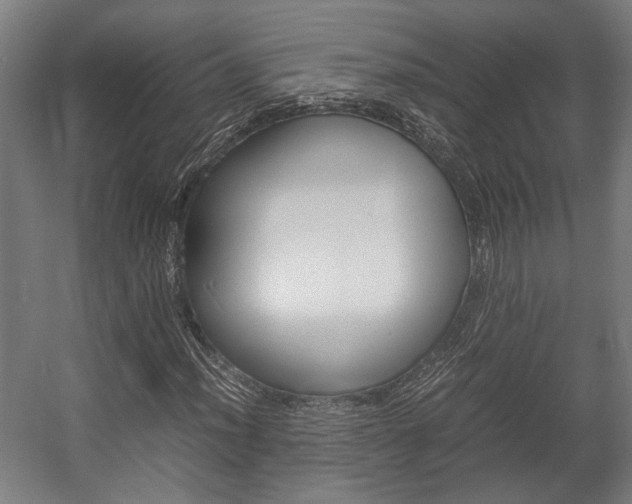 X0000058101012200509230748