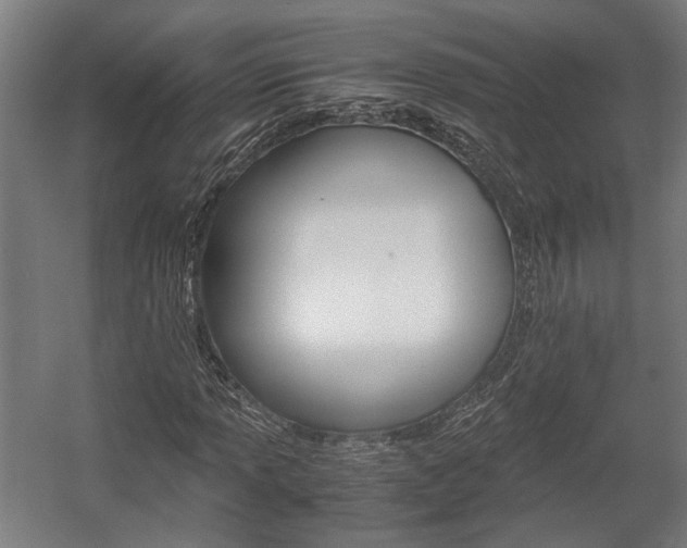 X0000058101013200509230748