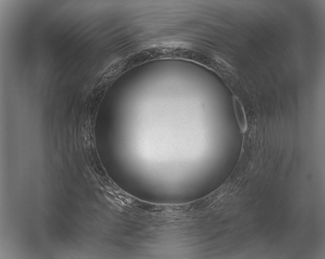 X0000058101014200509230748