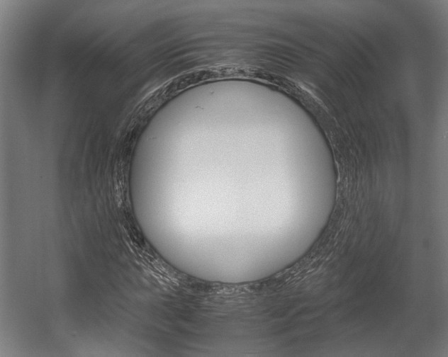 X0000058101015200509230748