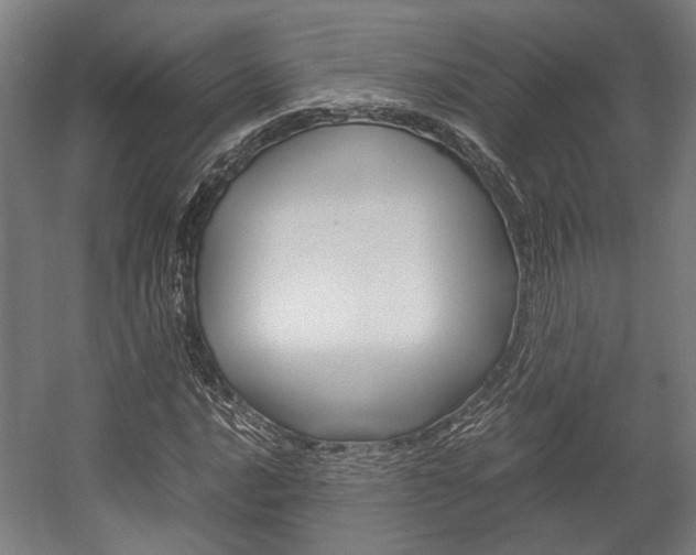 X0000058101016200509230748