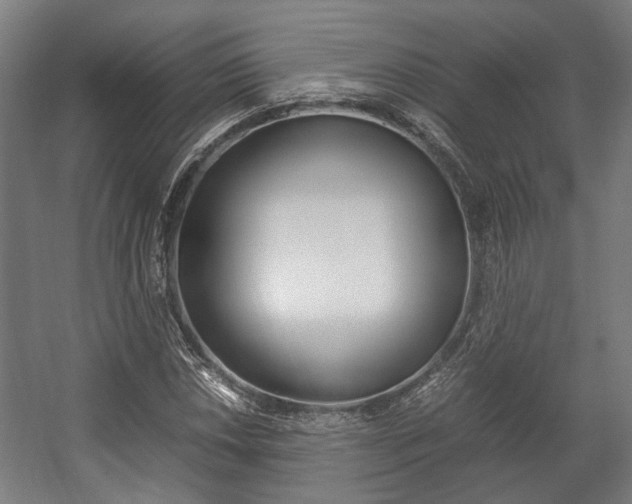 X0000058101018200509230748