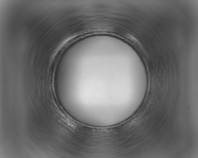 X0000058101019200509230748