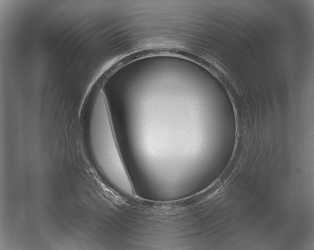 X0000058101022200509230748
