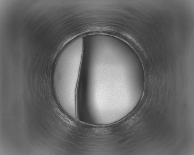 X0000058101025200509230748