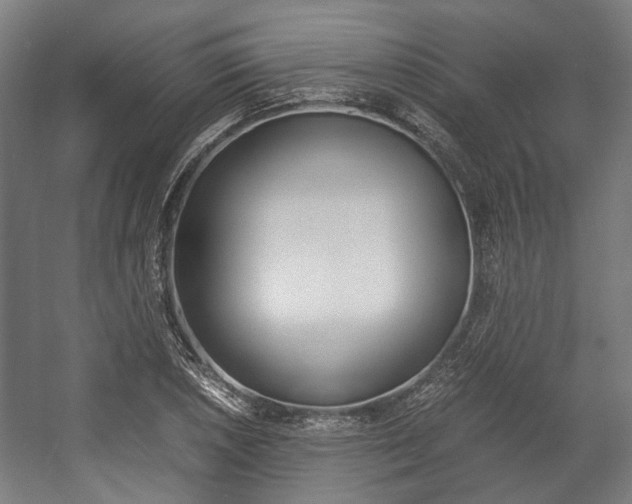X0000058101026200509230748