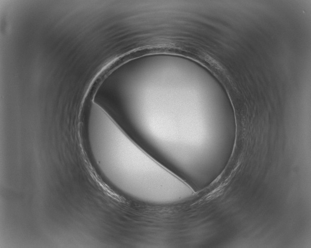 X0000058101029200509230748