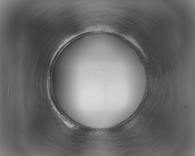 X0000058101040200509230749