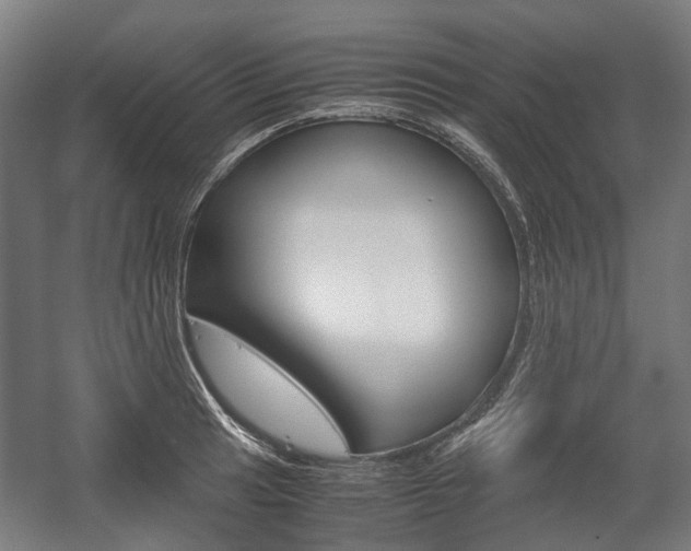 X0000058101041200509230749