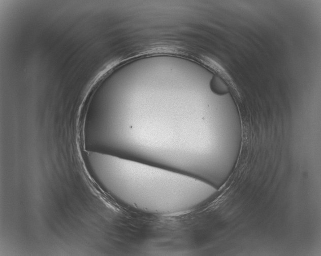 X0000058101043200509230749