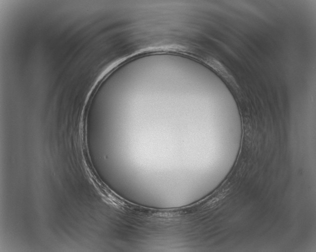 X0000058101044200509230749