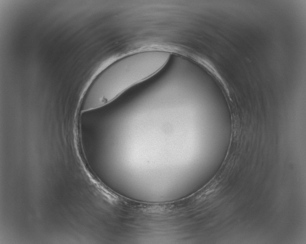 X0000058101048200509230749