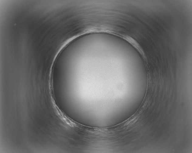 X0000058101052200509230749