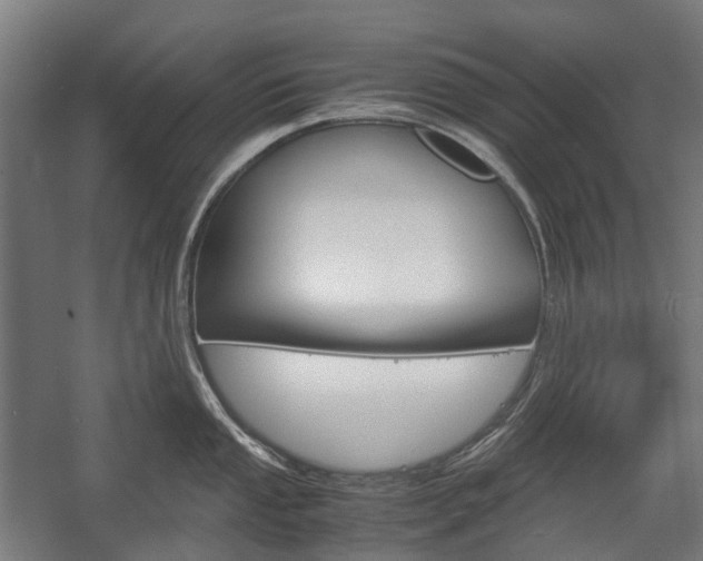 X0000058101053200509230749