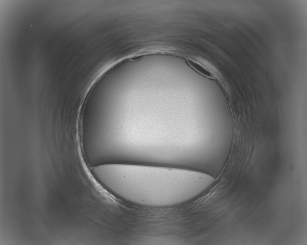 X0000058101055200509230749