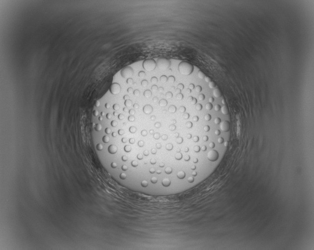 X0000058101059200509230748