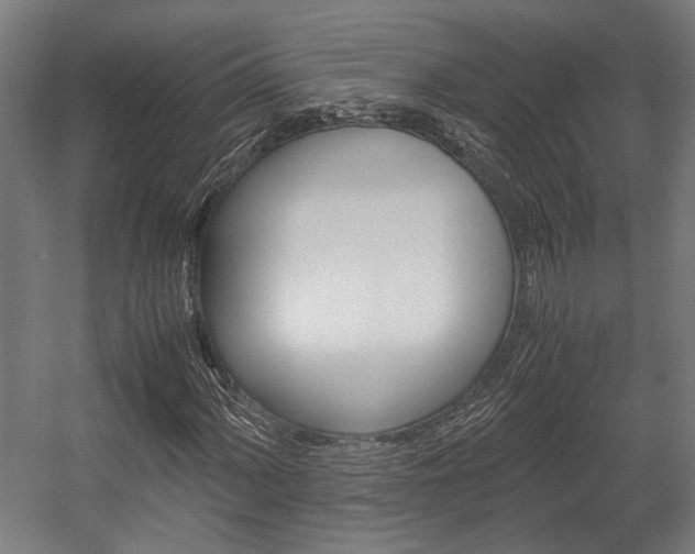 X0000058101060200509230748
