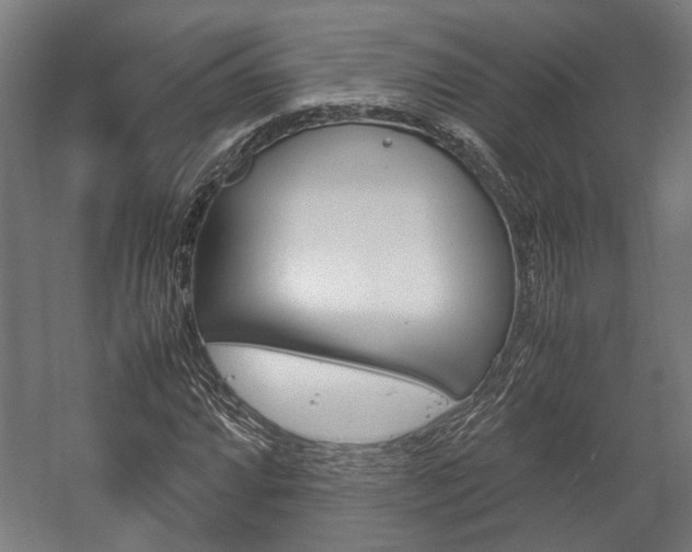 X0000058101064200509230748