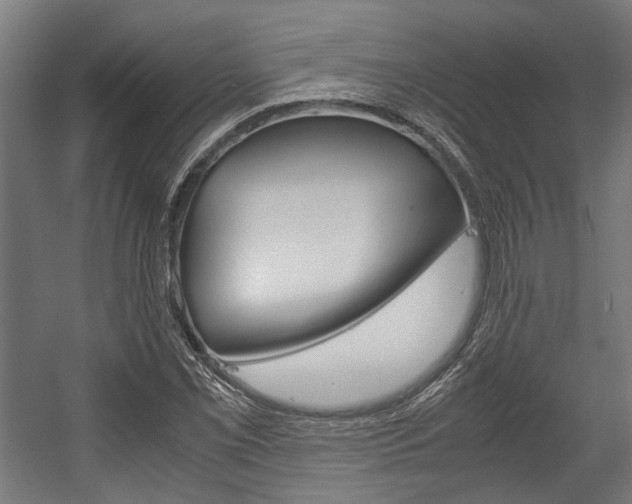 X0000058101069200509230748
